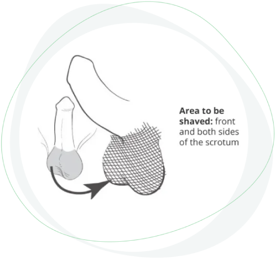 shave scrotum